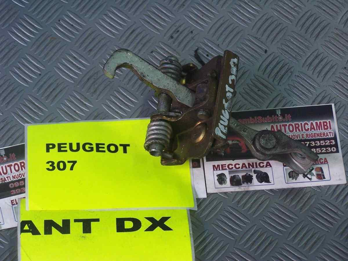 Peugeot 307 dal 2003 al 2008 tirante porta anteriore dx