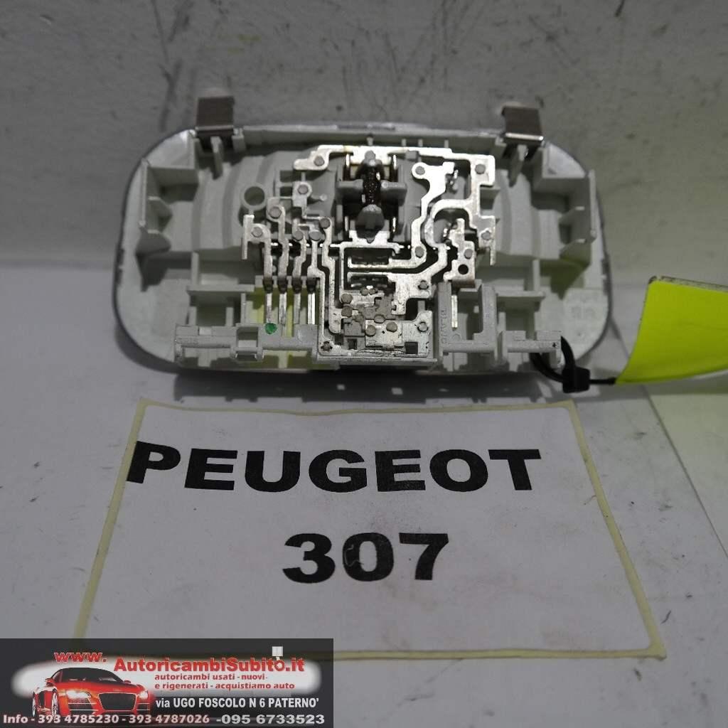 Peugeot 307 dal 2003 al 2008 luce interna
