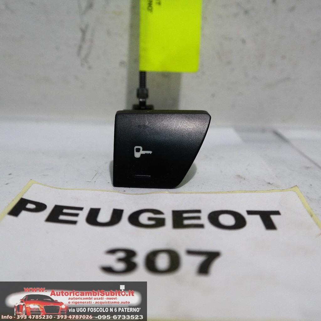Peugeot 307 dal 2003 al 2008 pulsante