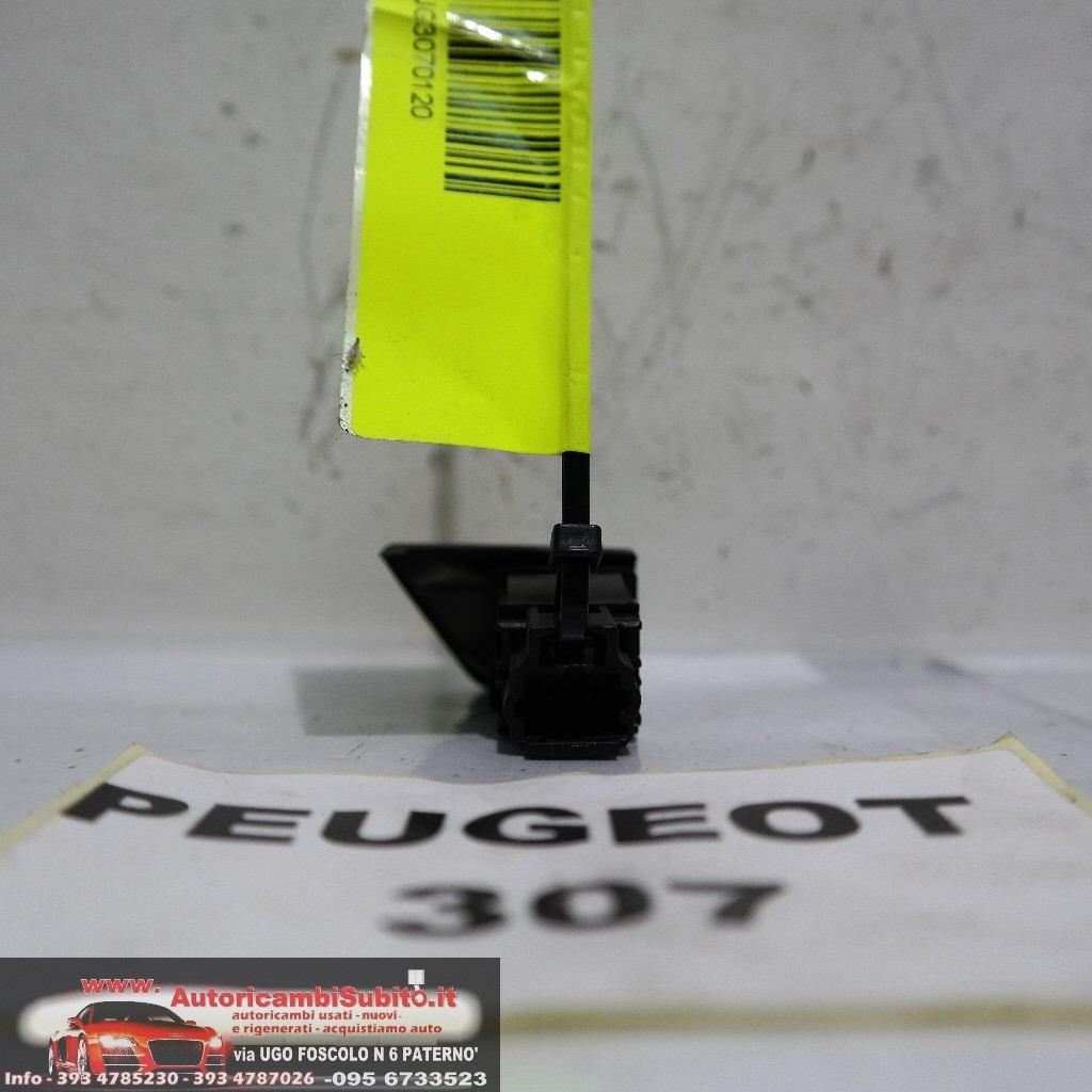 Peugeot 307 dal 2003 al 2008 pulsante