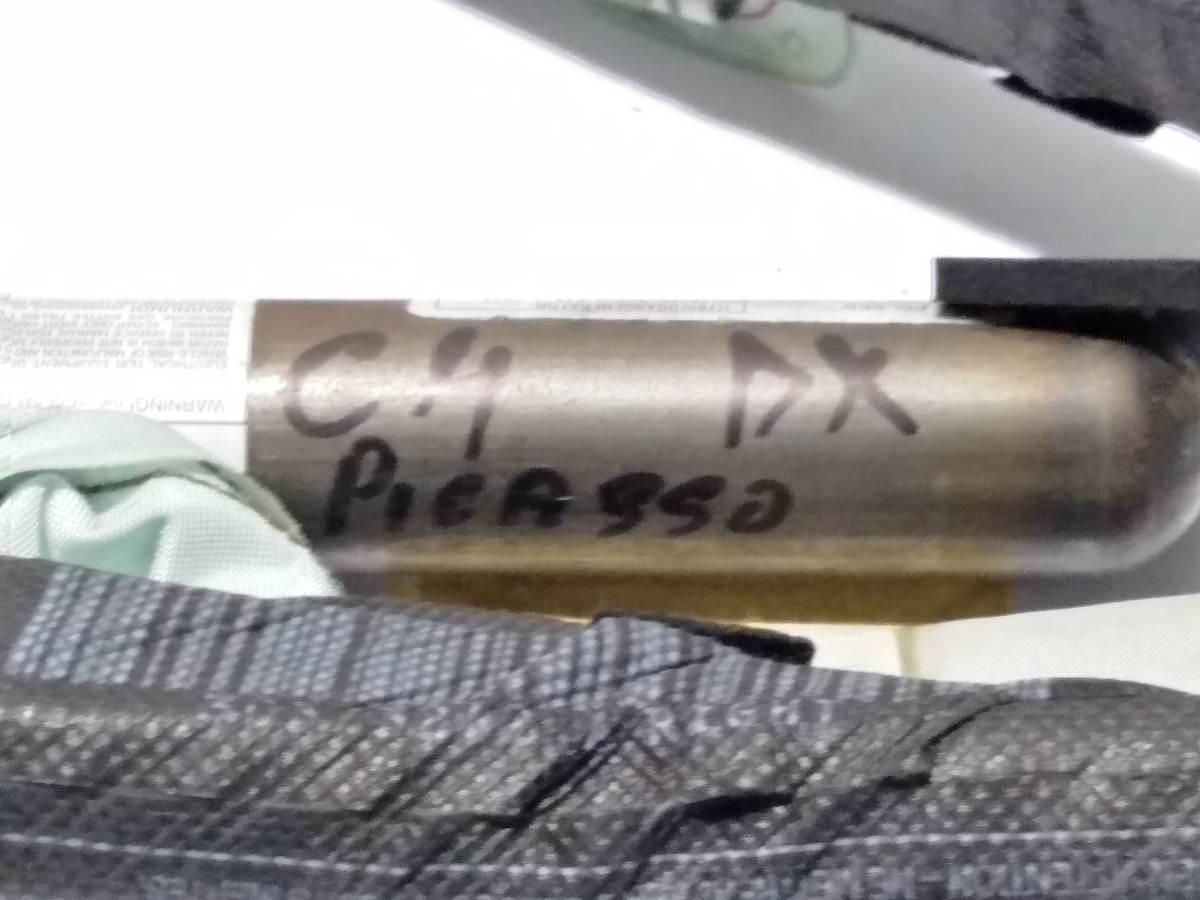 AIRBAG A TENDINA DX CITROEN C4 PICASSO <br />