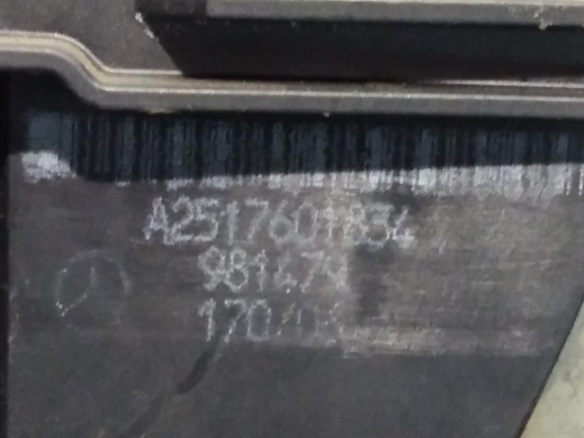 MANIGLIA  ANT DX MERCEDES CLASSE R  A2517601834<br /><br /><br />