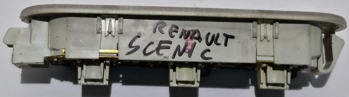 LUCE INTERNA RENAULT SCENIC 8200073224<br /><br /><br /><br />