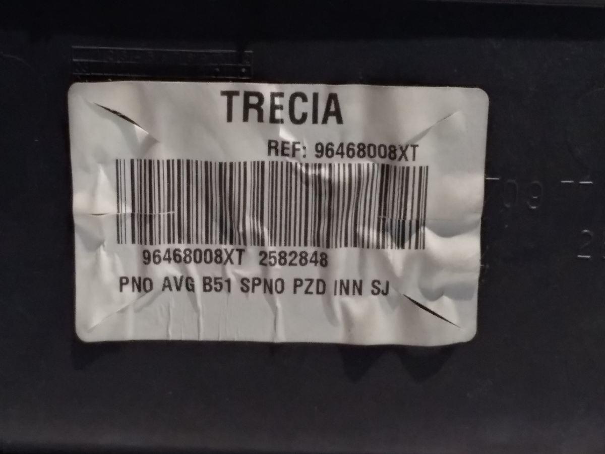 PANNELLO PORTIERA ANT SX CITROEN C4 2007 96468008XT<br />
