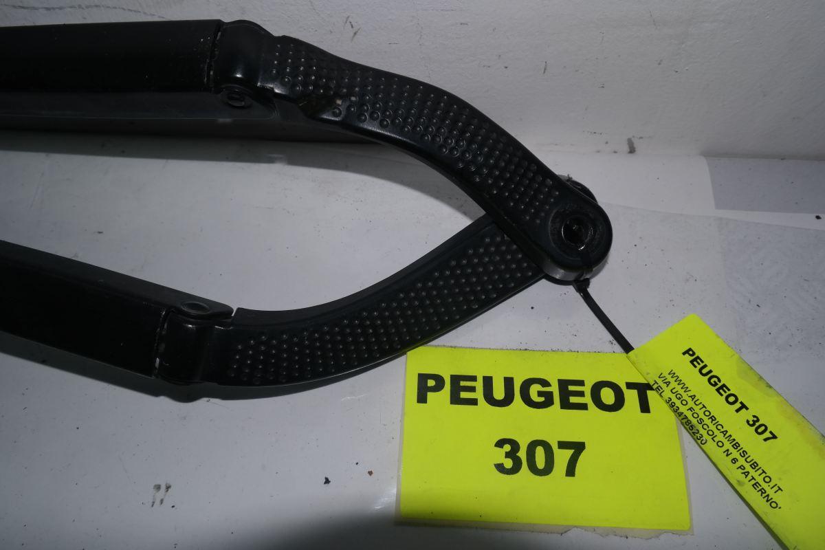 Peugeot 307 braccia tergicristallo anteriori