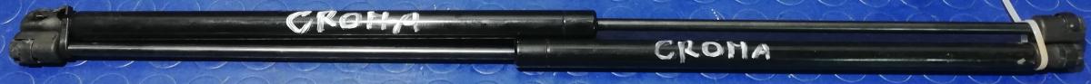 PISTONI COFANO POSTERIORE FIAT CROMA 1.9MJT 2006 51734960<br />