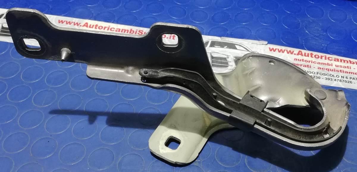 CERNIERA COFANO DX RENAULT CLIO 2010 719034ES72<br /><br /><br />