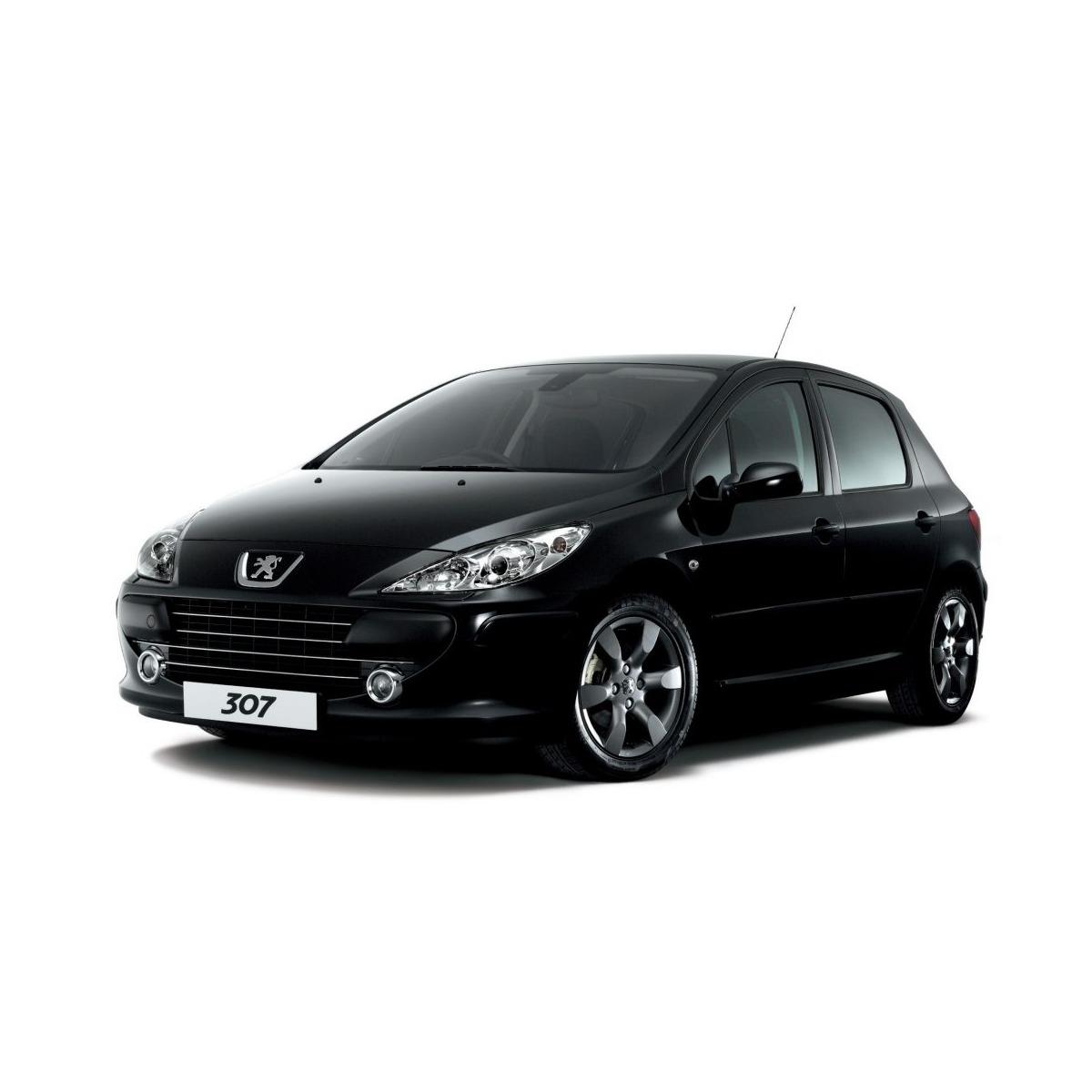 centralina motore peugeot 307 0281013331