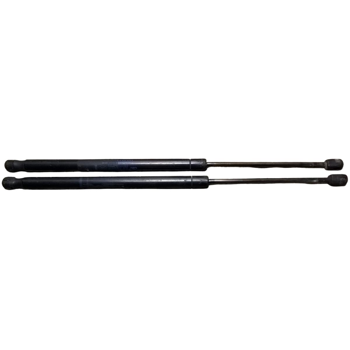 pistoncini cofano renault scenic 2005 8200484676