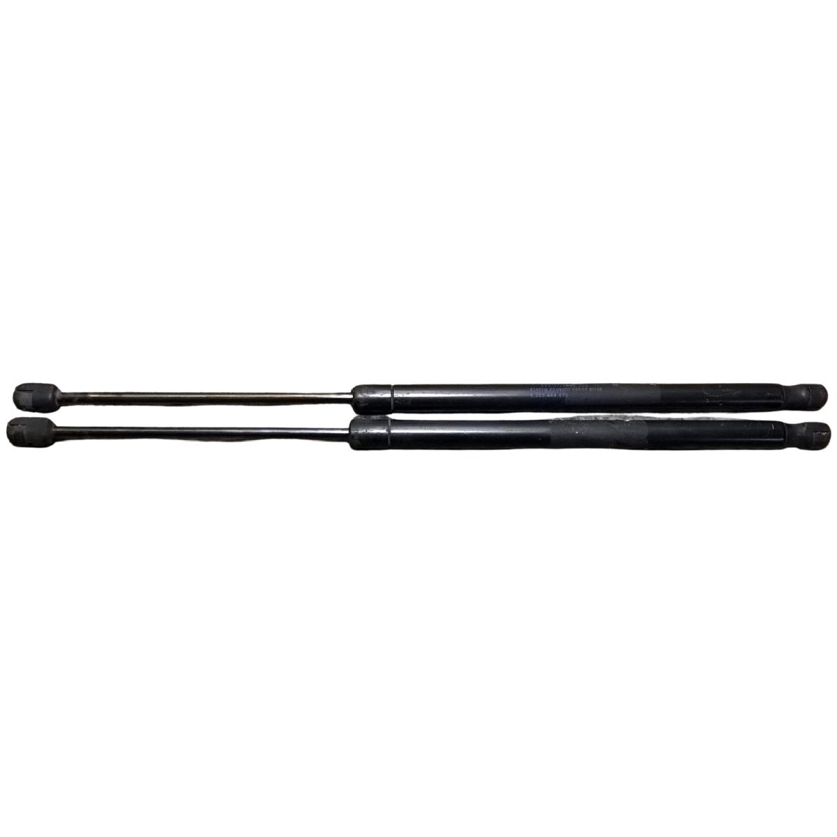 pistoncini cofano renault scenic 2005 8200484676