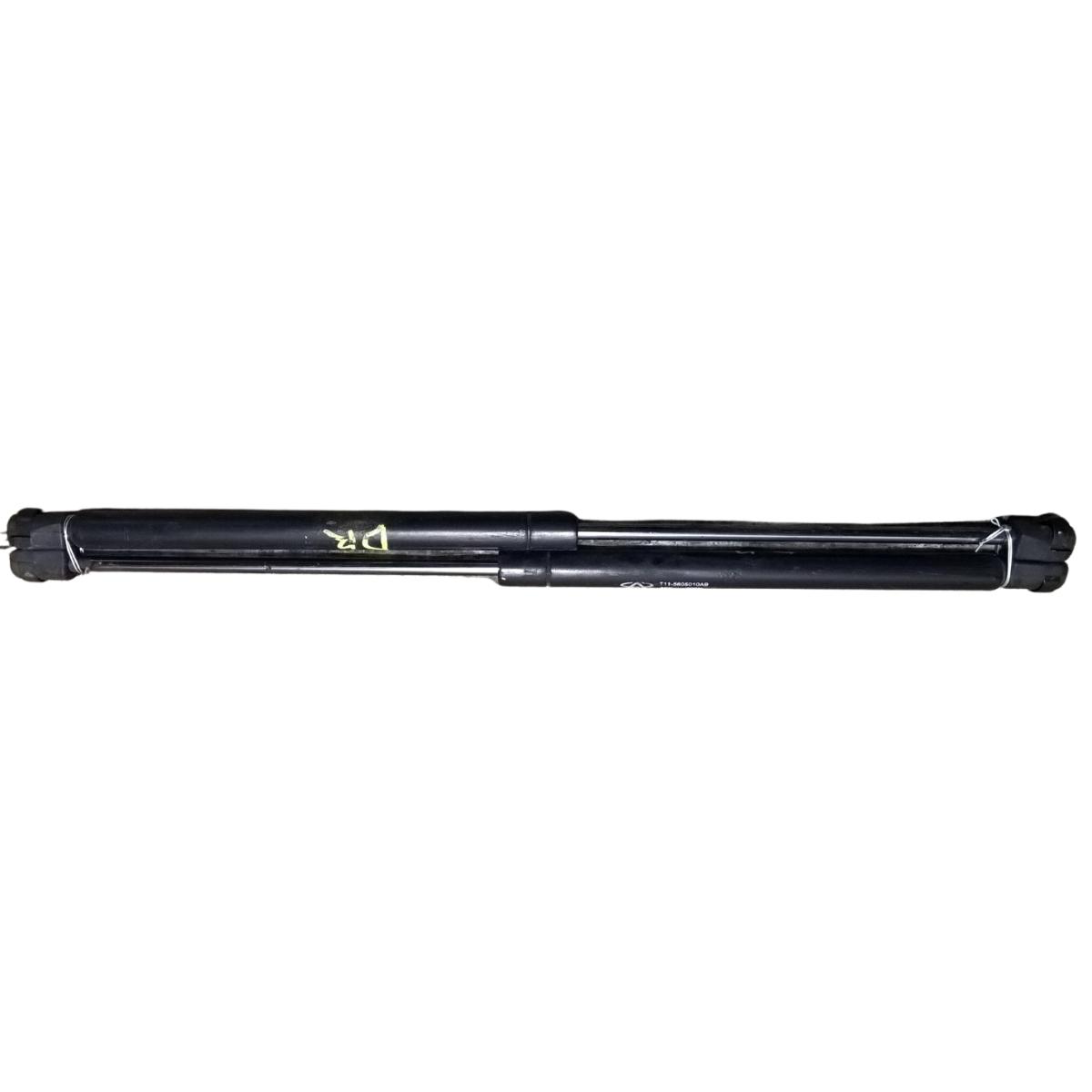 pistoncini cofano anteriori dr 5 2009 t115605010ab