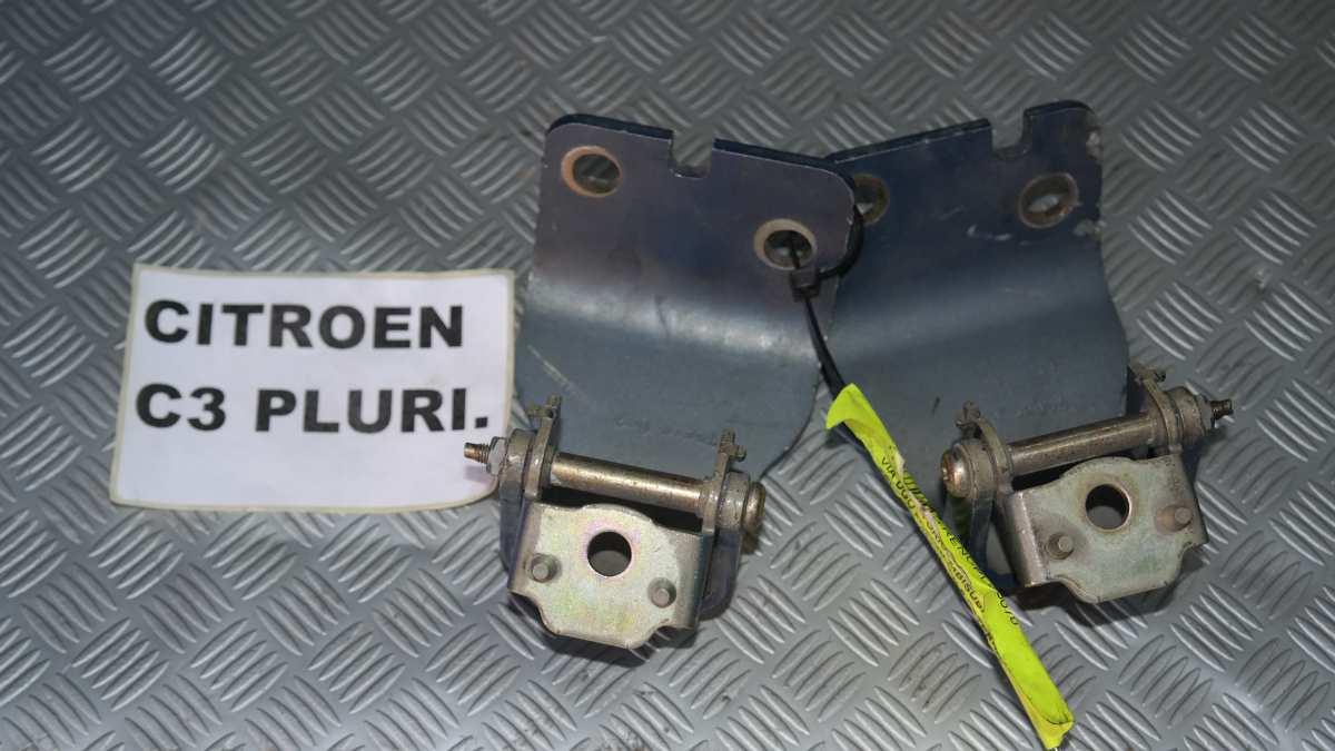 Citroen c3 / c3 pluriel ceniere porta
