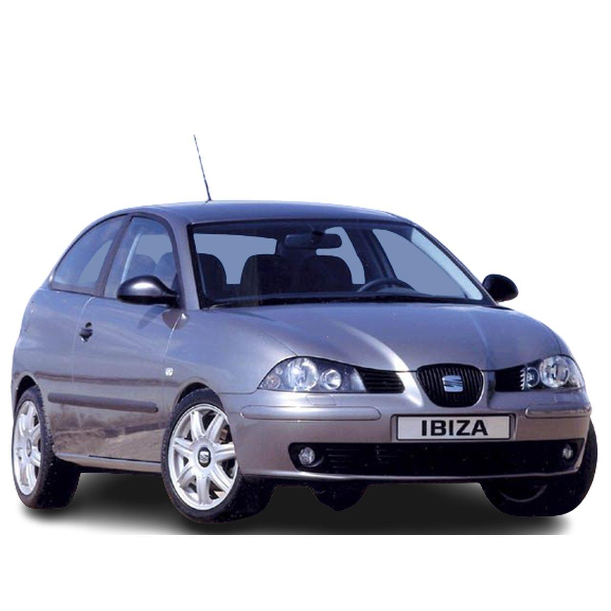 pompa idroguida seat ibiza 2006 6q0423156al
