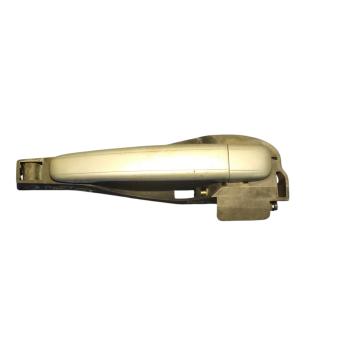 MANIGLIA ESTERNA DX citroen c3 2505030000085<br />