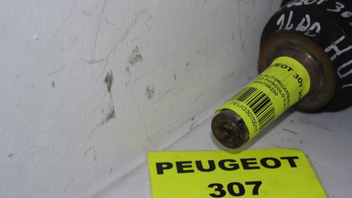 Peugeot 307 1400 hdi semiasse
