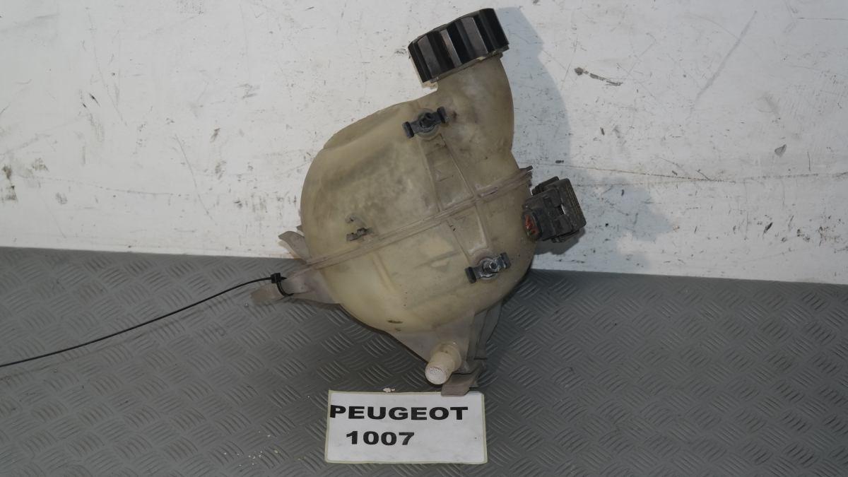 Peugeot 1007 vaschetta acqua radiatore