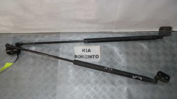 Kia sorento pistoncini cofano