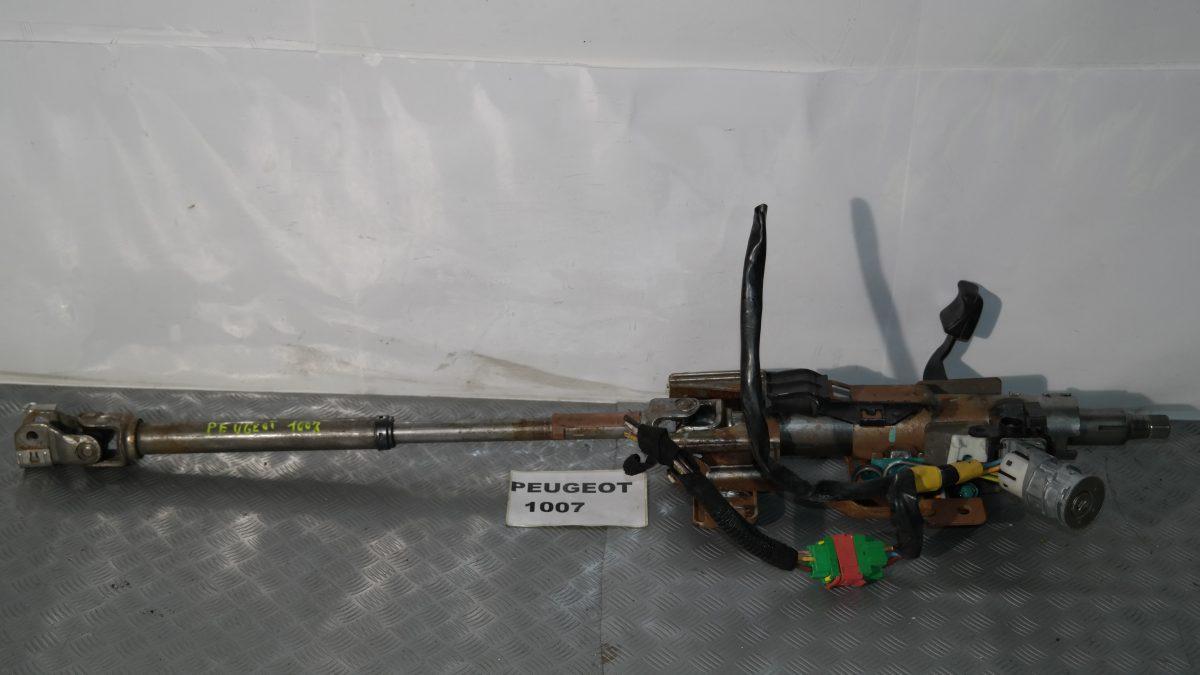 Peugeot 1007 canna dello sterzo