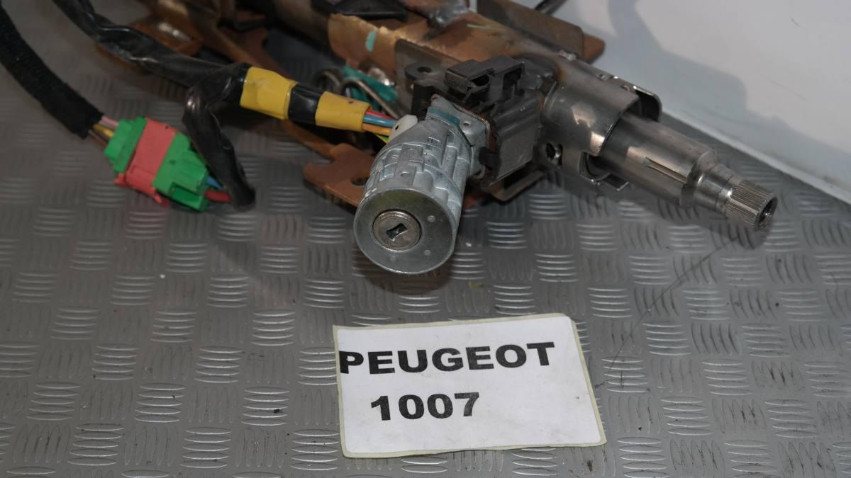 Peugeot 1007 canna dello sterzo