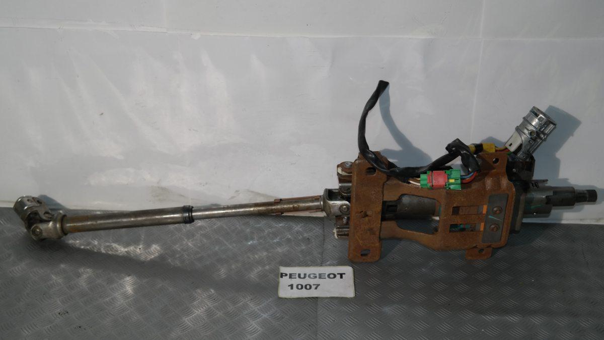 Peugeot 1007 canna dello sterzo