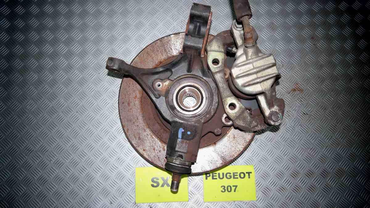 Peugeot 307 1400 hdi dal 2003 al 2008 montante sx