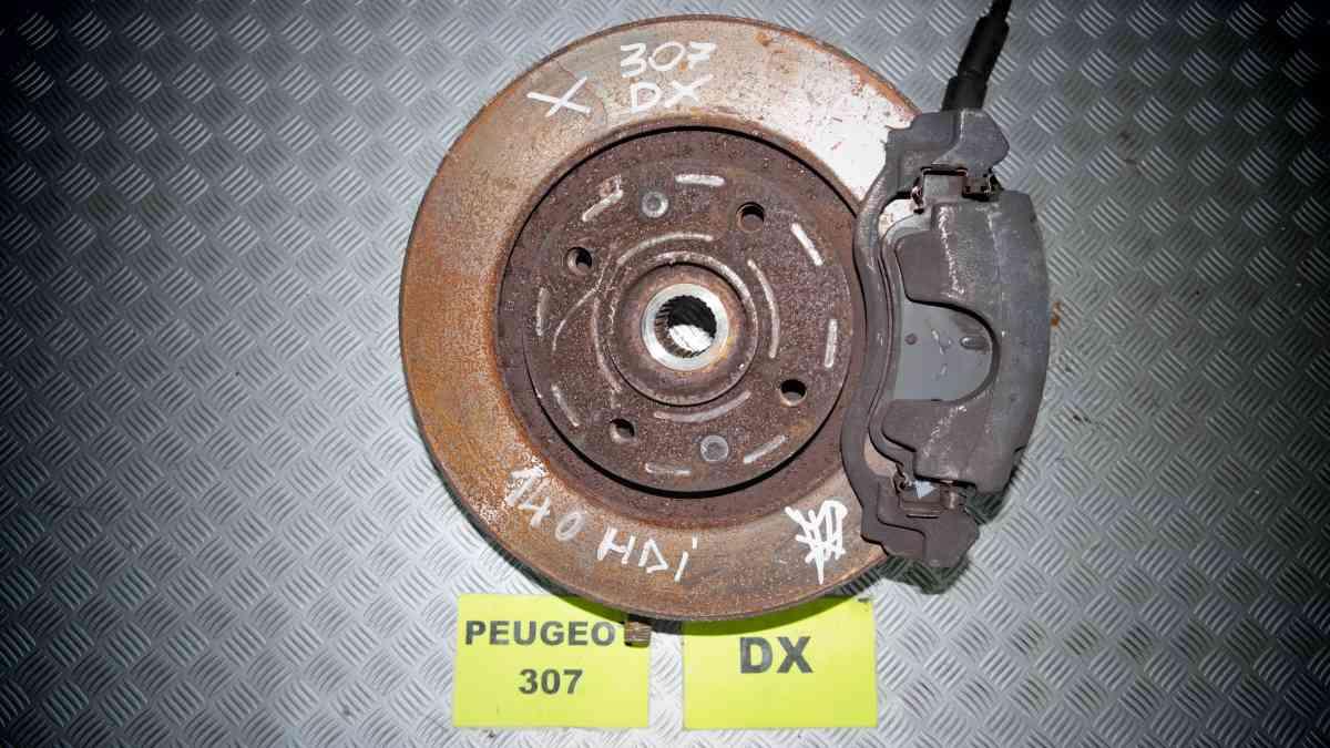 Peugeot 307 1400 hdi dal 2003 al 2008 montante dx