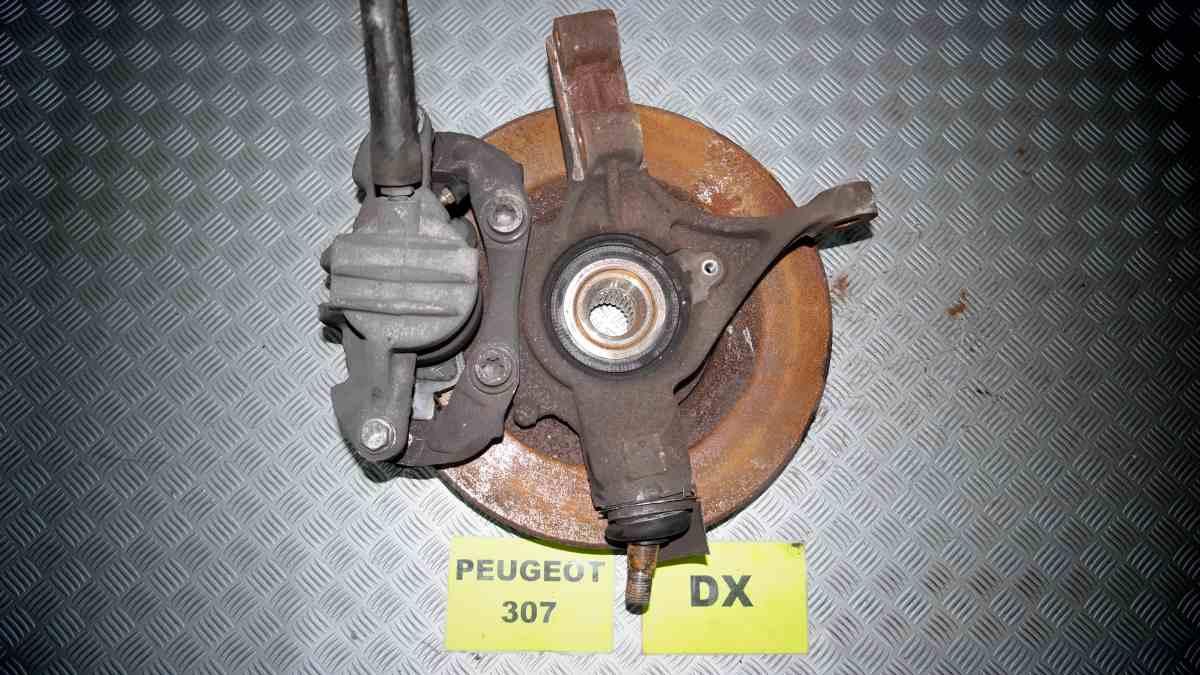 Peugeot 307 1400 hdi dal 2003 al 2008 montante dx