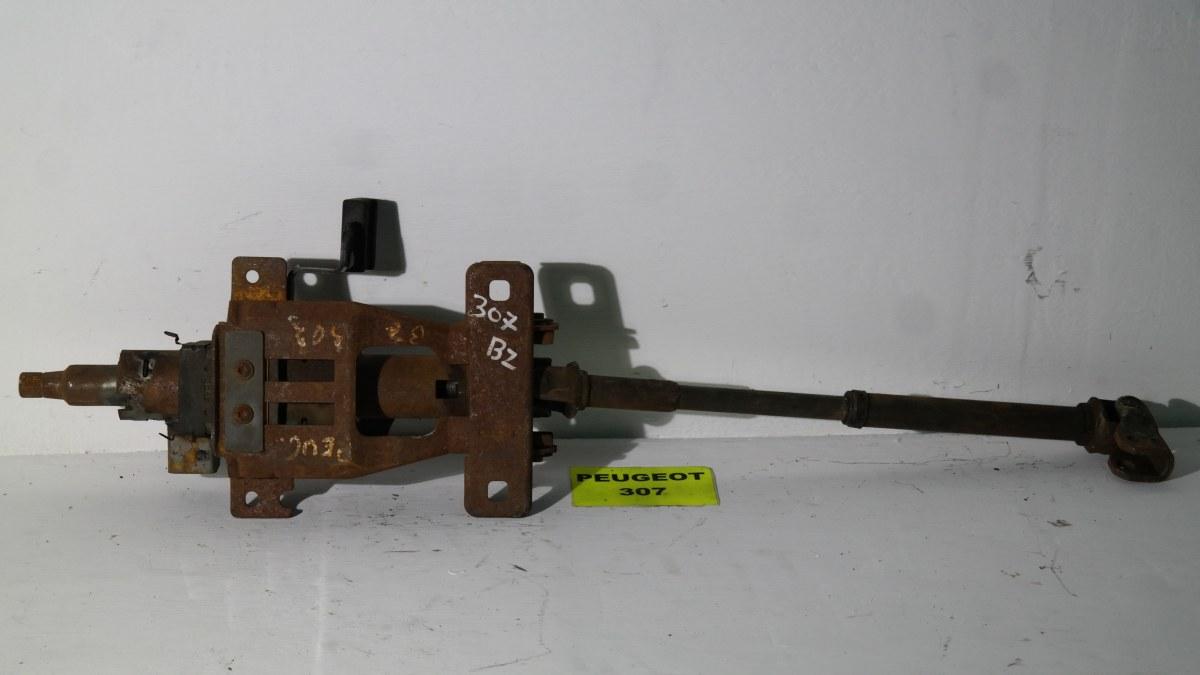 Peugeot 307 dal 2003 al 2008 piantone e canna sterzo