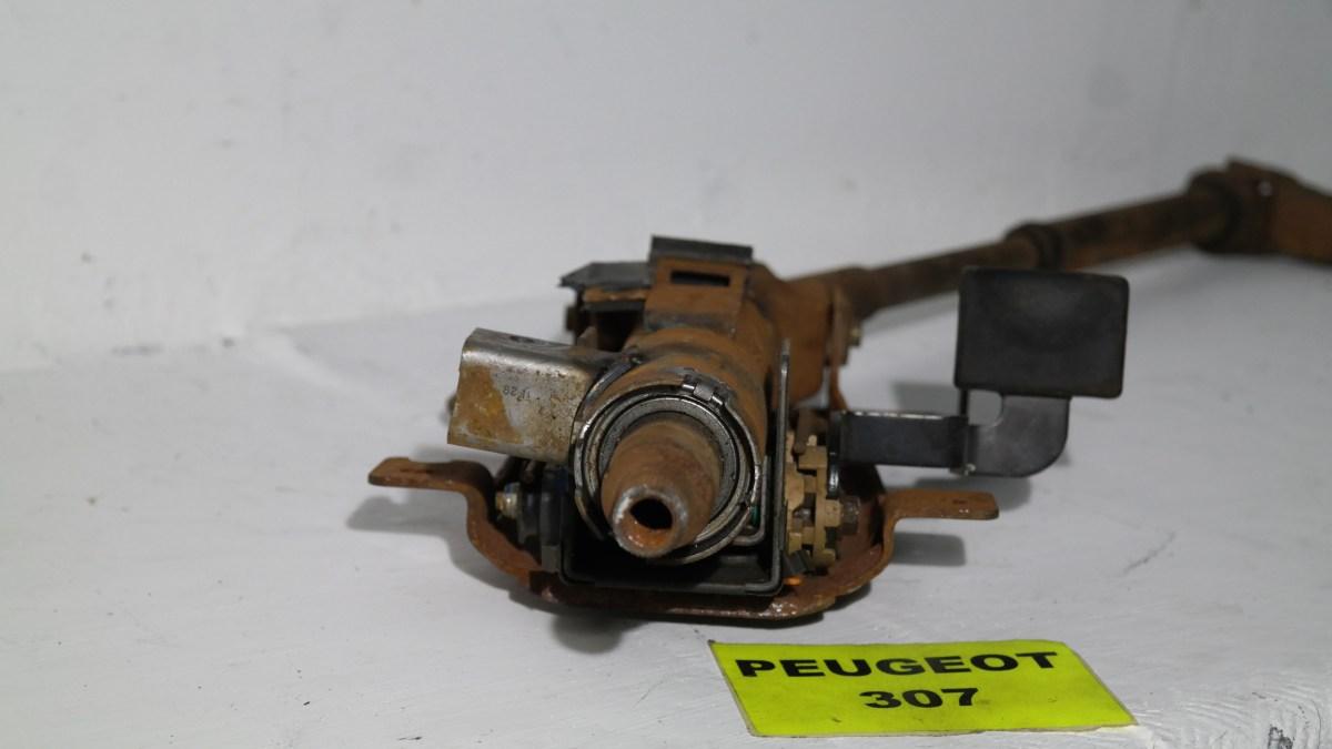 Peugeot 307 dal 2003 al 2008 piantone e canna sterzo