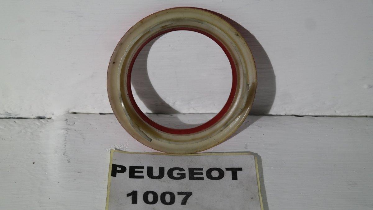 Peugeot 1007 dal 2004 al 2012 cornice ariatore