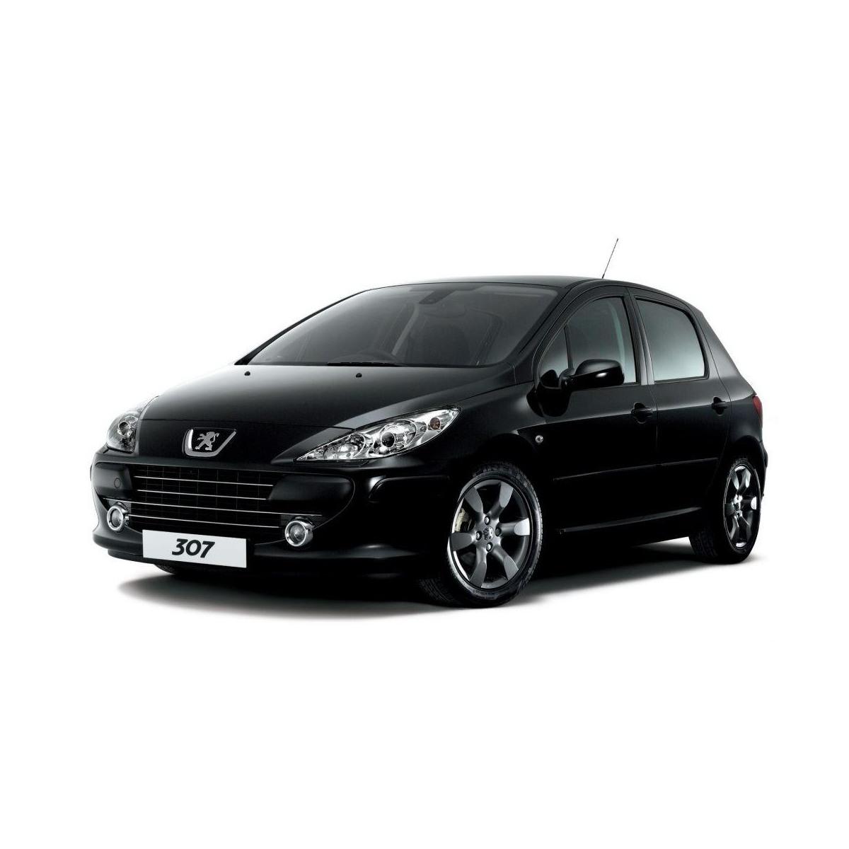 ventola radiatore peugeot 307 1253A9