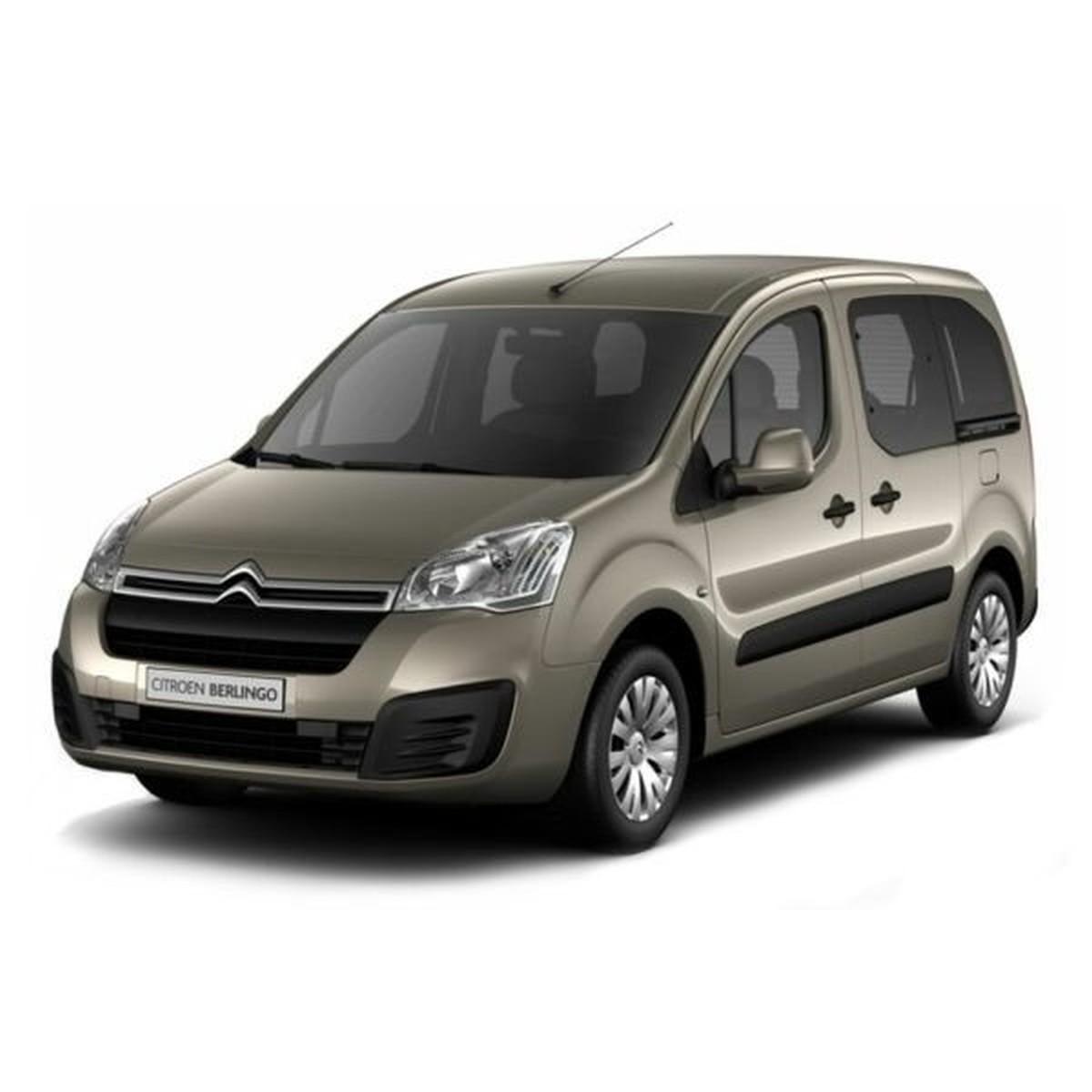 Barre portatutto professional citroen berlingo